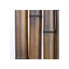 Бамбук шоколад.d 60-70 мм, L=2.8-3м