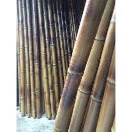 Бамбук обожжен.d 40-50 мм, L=2.8-3м